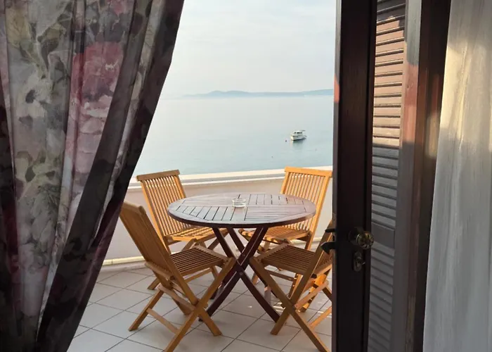 Paula Trogir